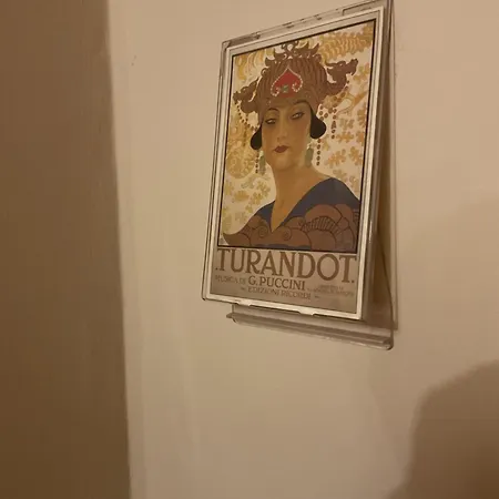 Turandot-2